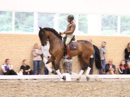 IMG_1568_web